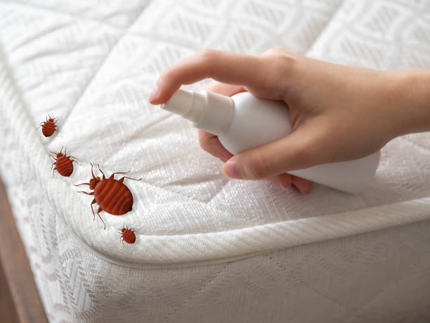 Emergency Pest Control in Norristown, PA